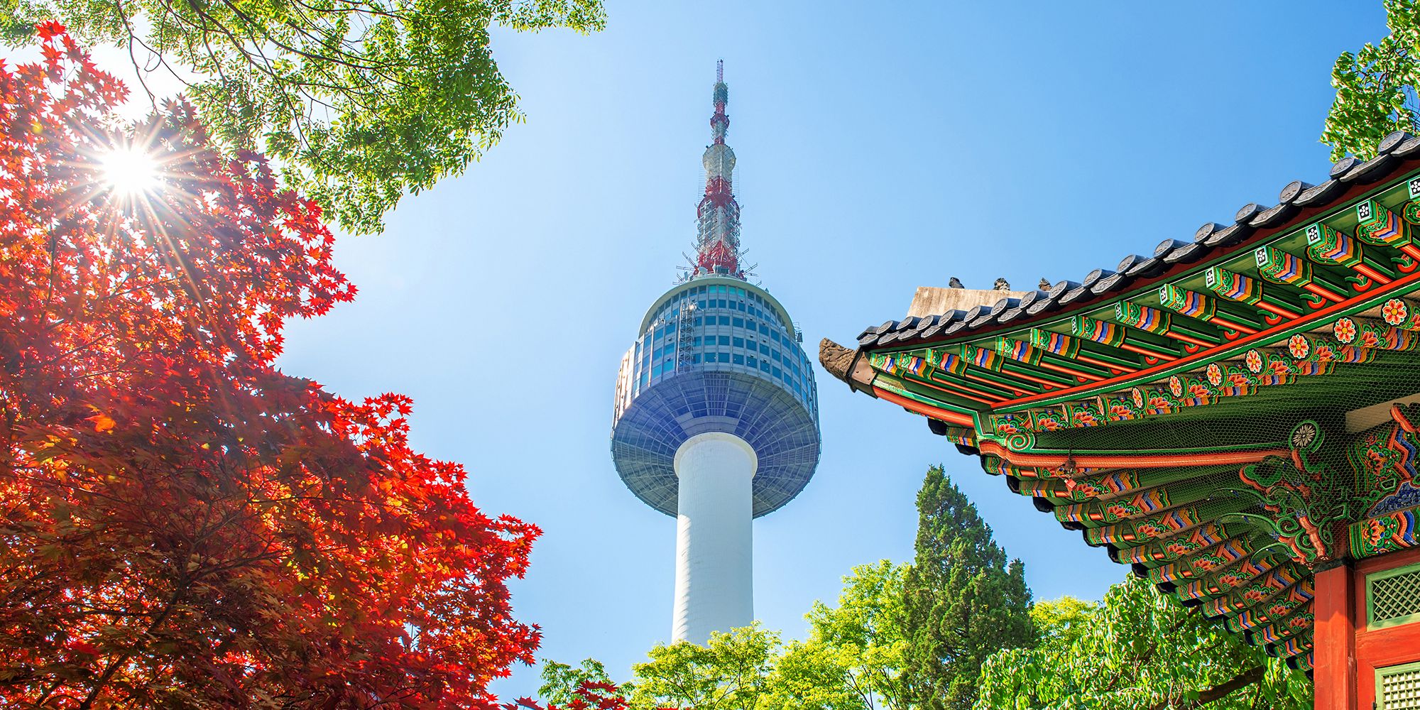 Chasing Autumn: Korea’s Dreamiest Fall Foliage Spots