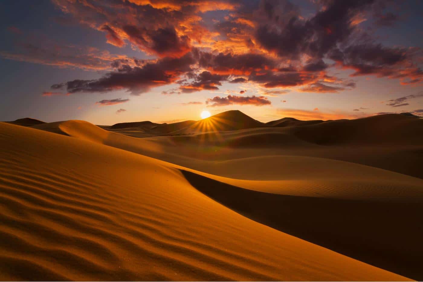 Qatar Desert Adventures: 5 Exciting Things to Do