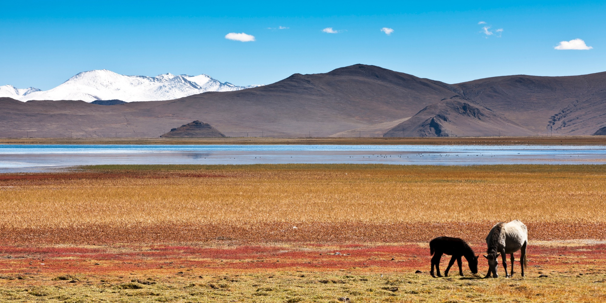 Exploring China's Natural Wonders: A Guide to the Most Breathtaking Landscapes
