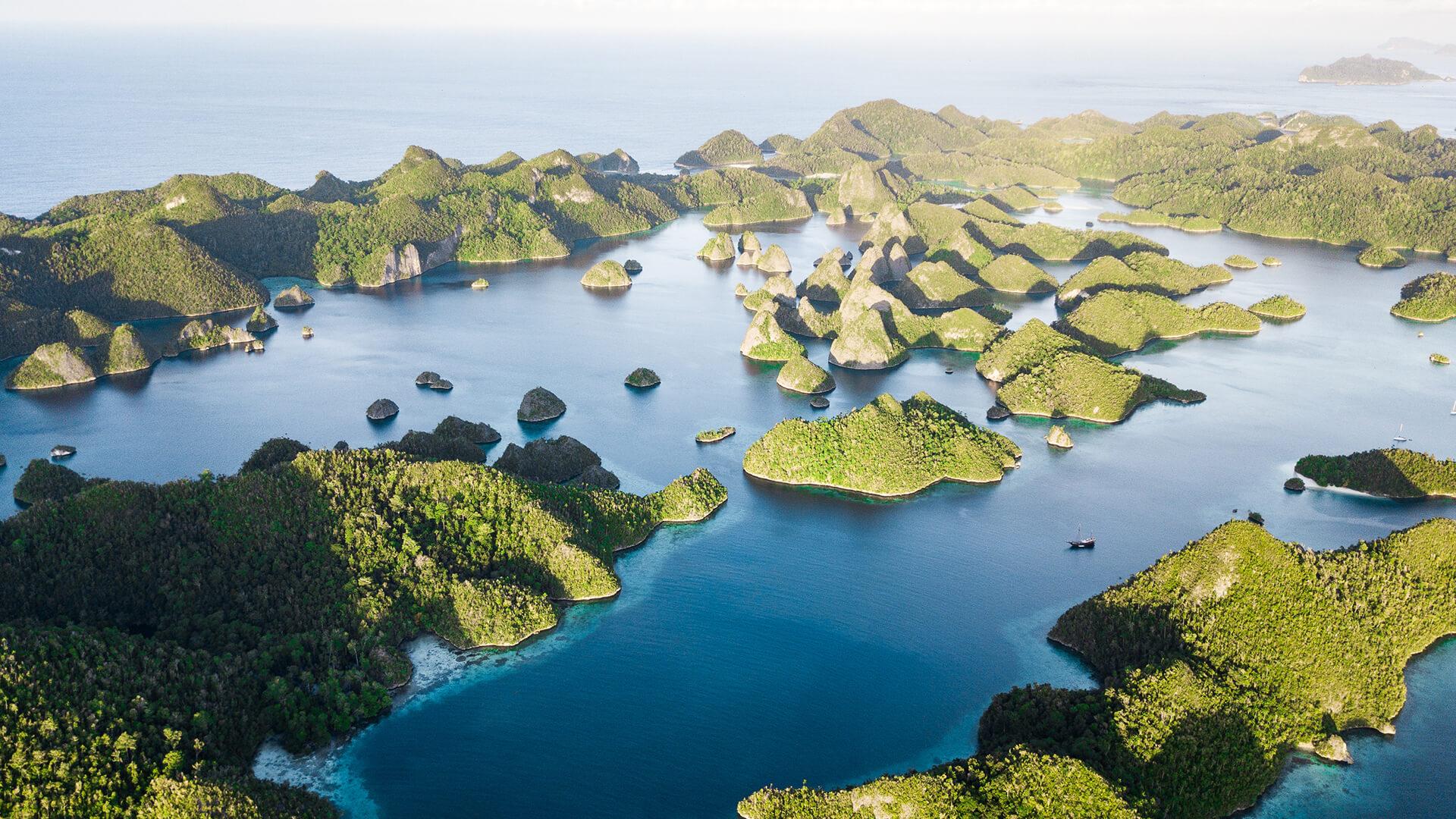 Raja Ampat: Indonesia's Crown Jewel of Diving and Biodiversity