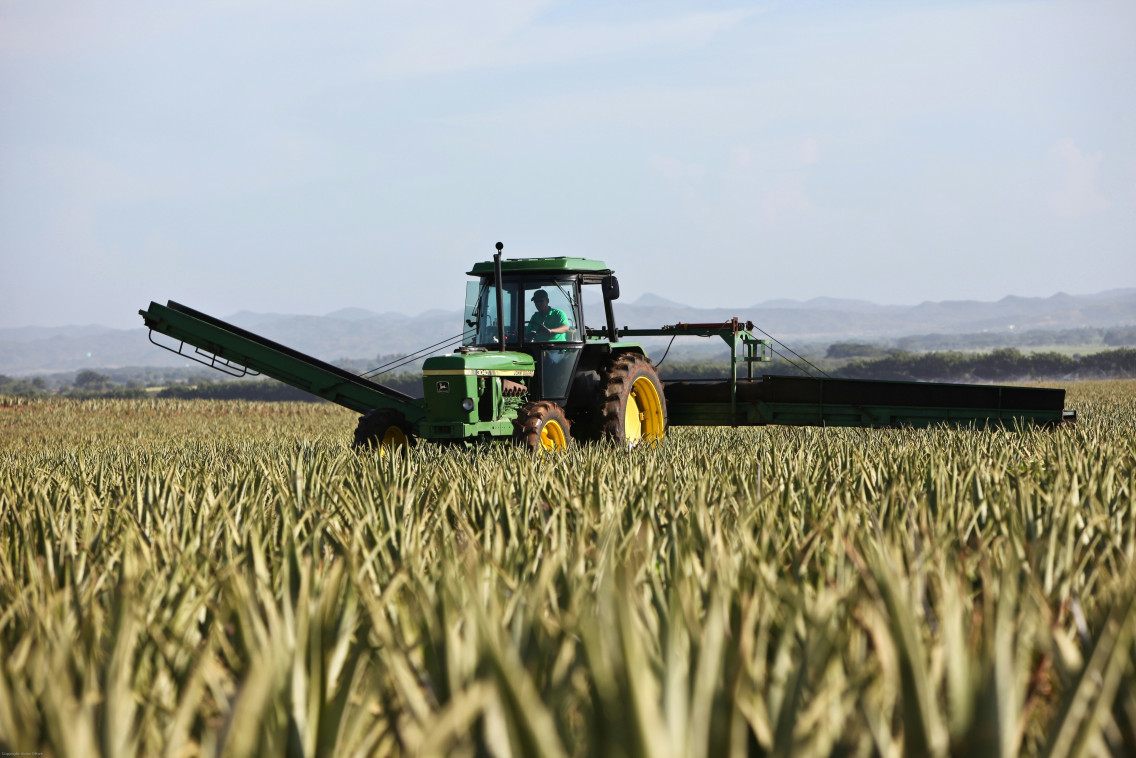  Indonesia Agricultural Supplement Ranks Among the Top 100 Best Companies in ASEAN